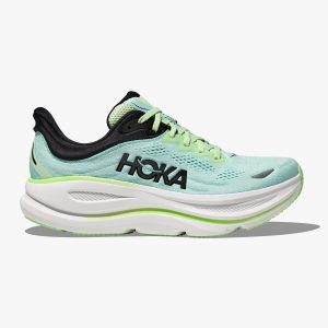 HOK251M-LNMT-2-1